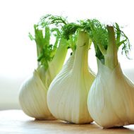 fennel