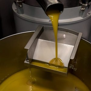 Olive Oil Harvesting and Production_d