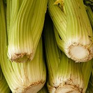 celery