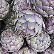 Artichokes