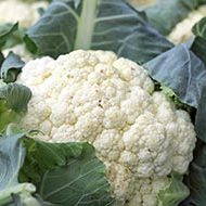 cauliflower