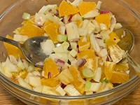 Orange-and-Fennel-Salad_c