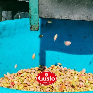 PIstachios_a