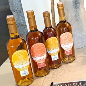 Passito IGP Sicilian Lands Tenuta Papale_c