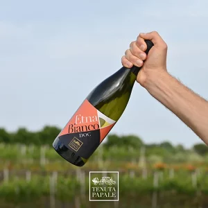 Etna DOC White Wine_b Tenuta Papale