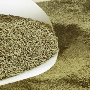 spice gallery_i