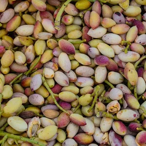 aRicchigia_c aricchigia_c